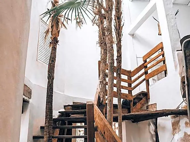 Hotel Casa Ambar & Boutique - Party Side (adults Only)