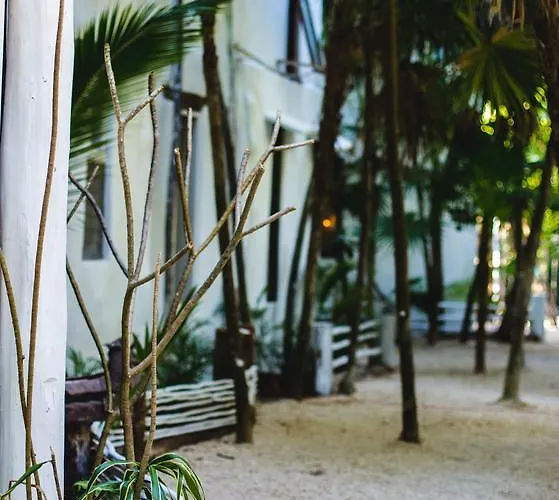 Hotel Casa Ambar & Boutique - Party Side (adults Only) Tulum