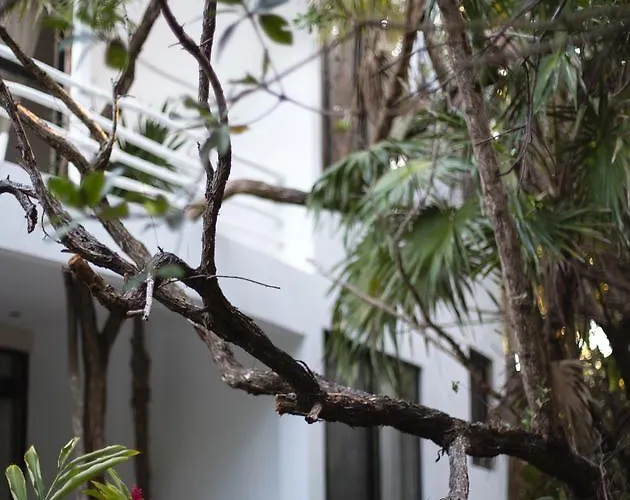 Casa Ambar & Boutique - Party Side (adults Only) Tulum